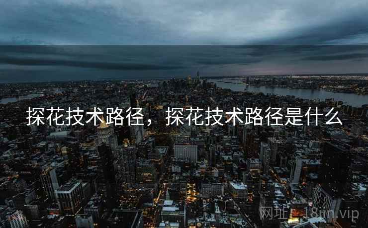 探花技术路径，探花技术路径是什么  第2张