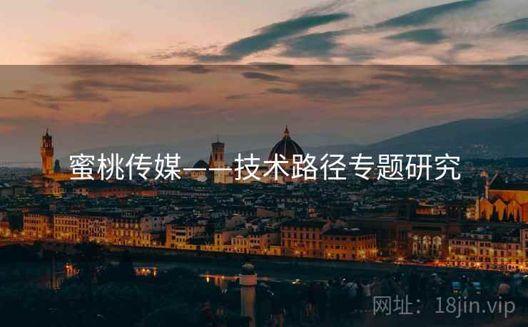 蜜桃传媒——技术路径专题研究  第2张