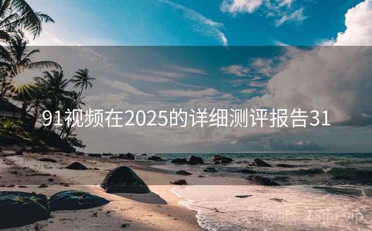 91视频在2025的详细测评报告31  第2张