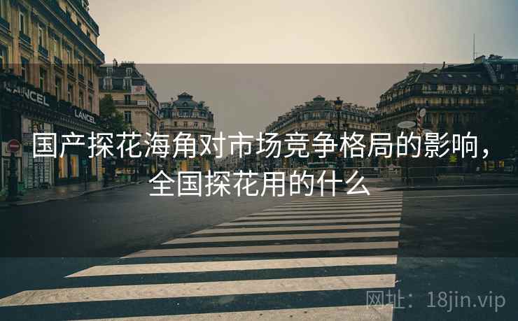 国产探花海角对市场竞争格局的影响，全国探花用的什么  第1张