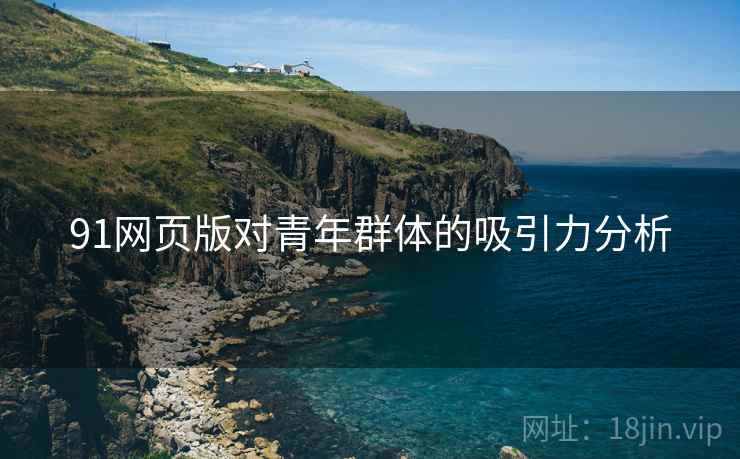 91网页版对青年群体的吸引力分析  第2张