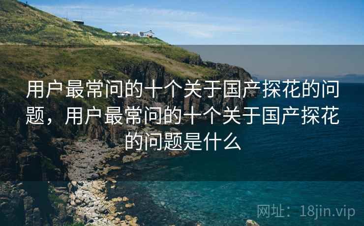 用户最常问的十个关于国产探花的问题，用户最常问的十个关于国产探花的问题是什么  第1张