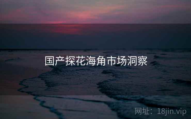 国产探花海角市场洞察  第2张