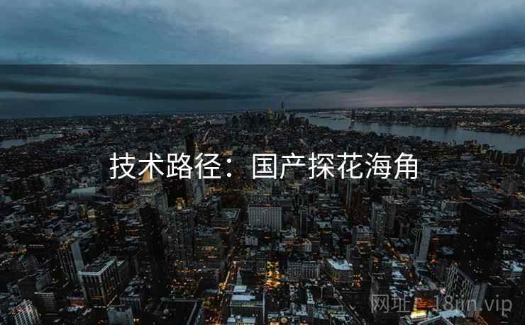 技术路径：国产探花海角  第1张