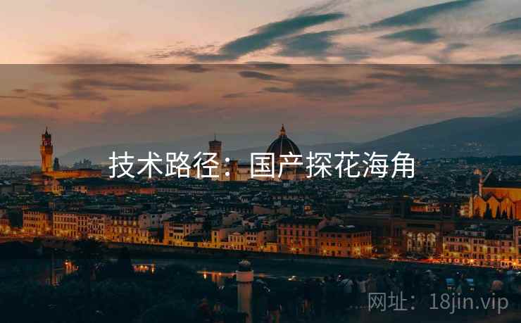 技术路径：国产探花海角  第2张