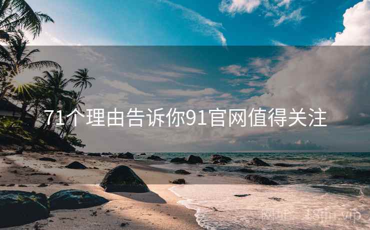 71个理由告诉你91官网值得关注  第2张