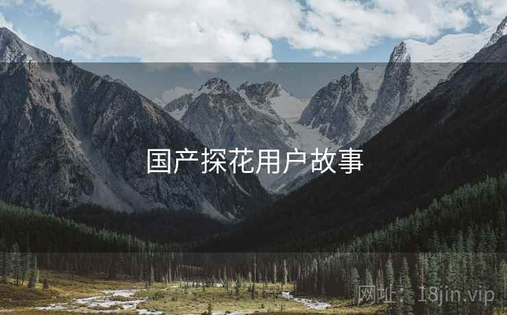 国产探花用户故事  第2张