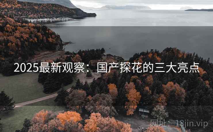 2025最新观察：国产探花的三大亮点  第2张