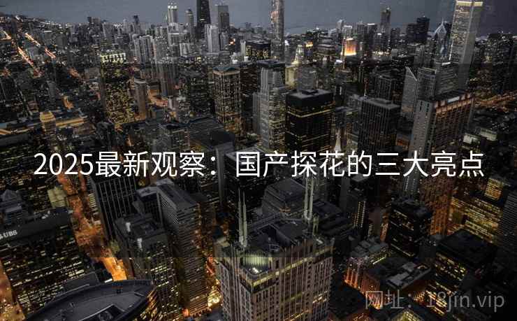 2025最新观察：国产探花的三大亮点  第1张