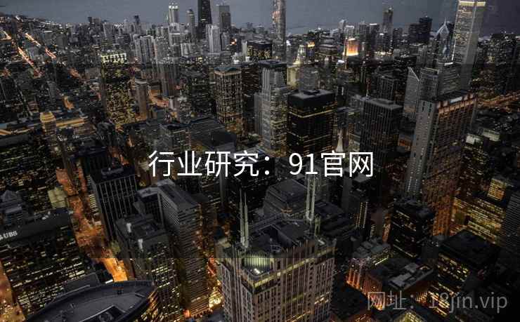 行业研究：91官网  第2张