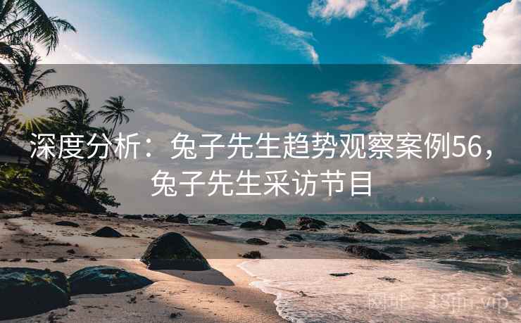 深度分析：兔子先生趋势观察案例56，兔子先生采访节目  第2张