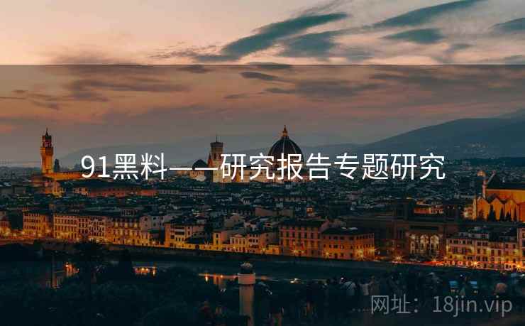 91黑料——研究报告专题研究  第2张