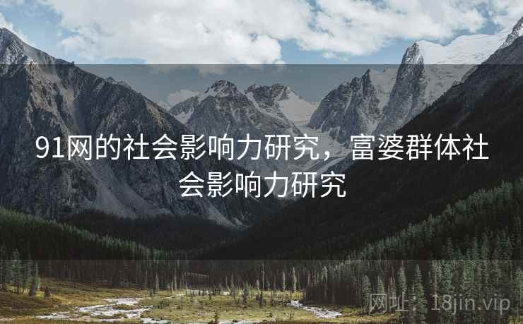 91网的社会影响力研究，富婆群体社会影响力研究  第2张