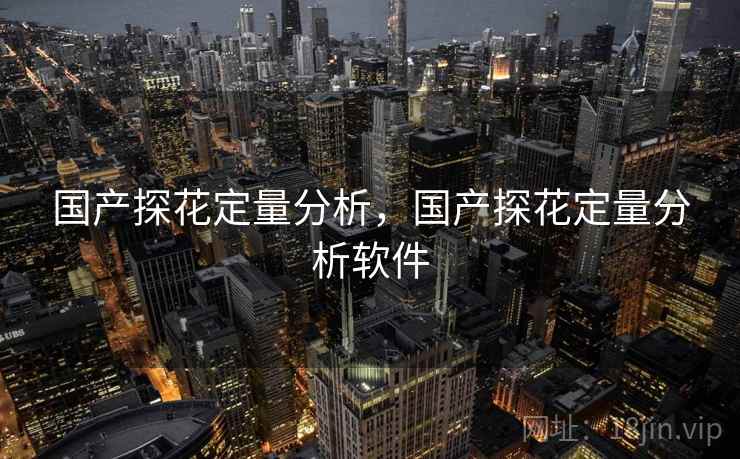 国产探花定量分析，国产探花定量分析软件  第2张