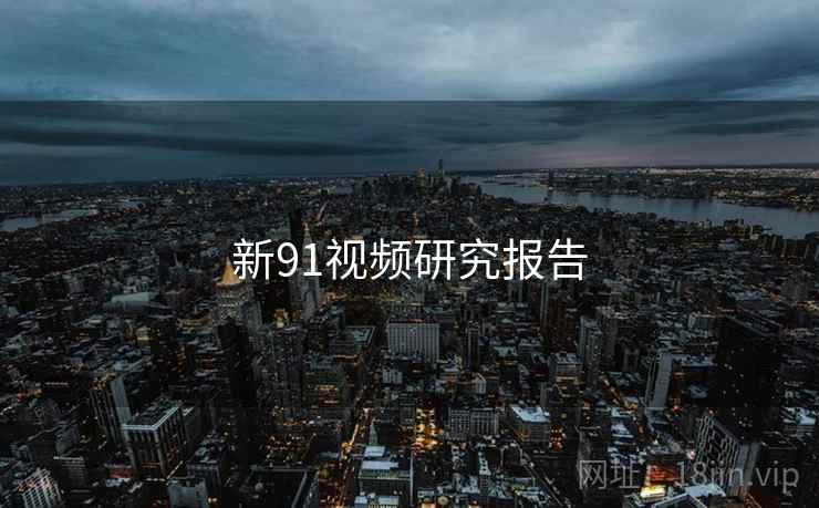 新91视频研究报告  第1张