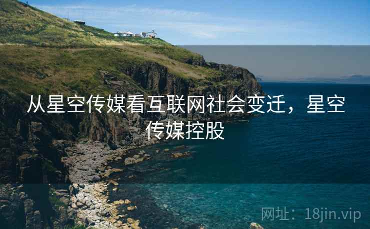 从星空传媒看互联网社会变迁，星空传媒控股  第1张