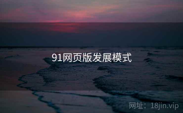91网页版发展模式  第1张