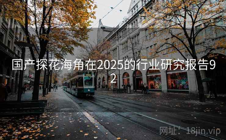 国产探花海角在2025的行业研究报告92  第2张