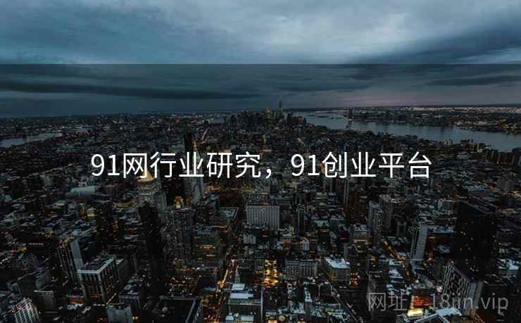 91网行业研究，91创业平台  第2张