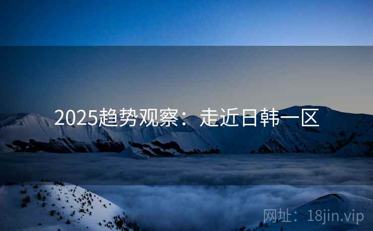 2025趋势观察：走近日韩一区  第2张