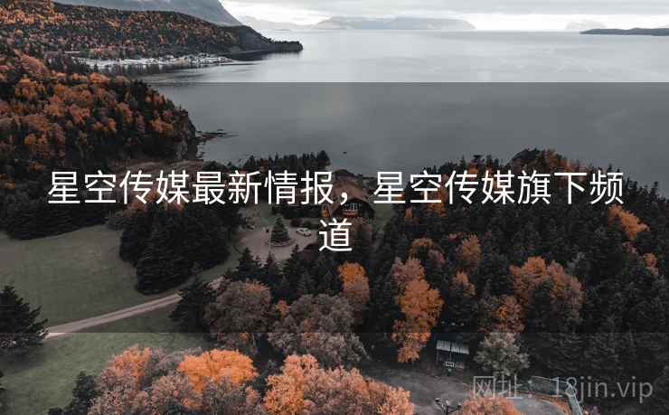 星空传媒最新情报，星空传媒旗下频道  第2张