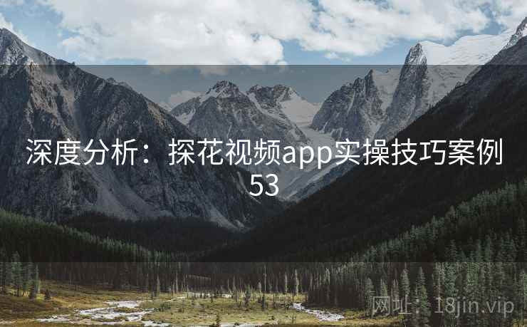 深度分析：探花视频app实操技巧案例53  第1张