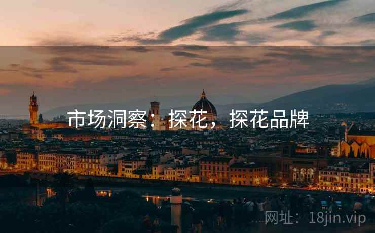 市场洞察：探花，探花品牌  第1张