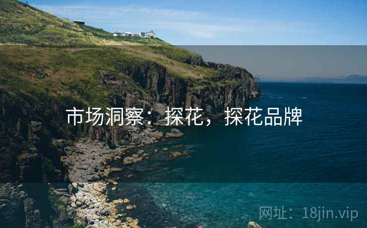 市场洞察：探花，探花品牌  第2张