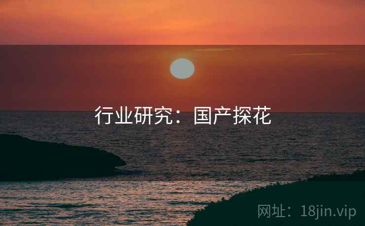 行业研究：国产探花  第2张