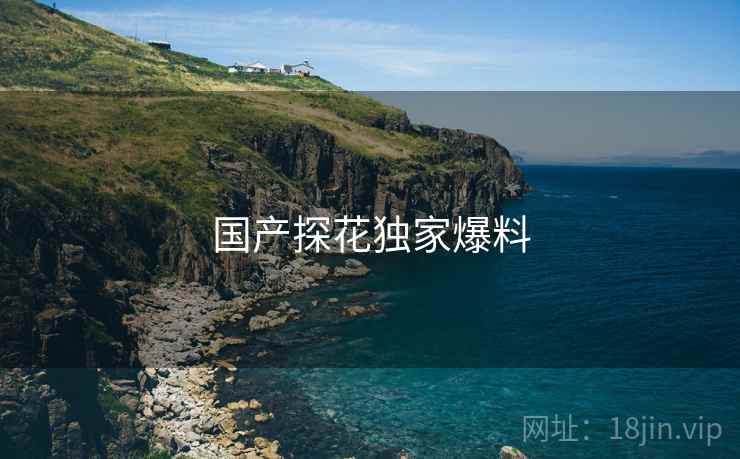 国产探花独家爆料  第2张