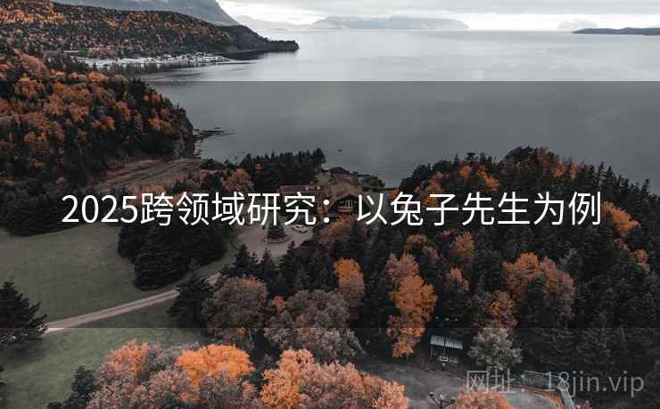 2025跨领域研究：以兔子先生为例  第1张