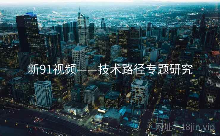 新91视频——技术路径专题研究  第2张