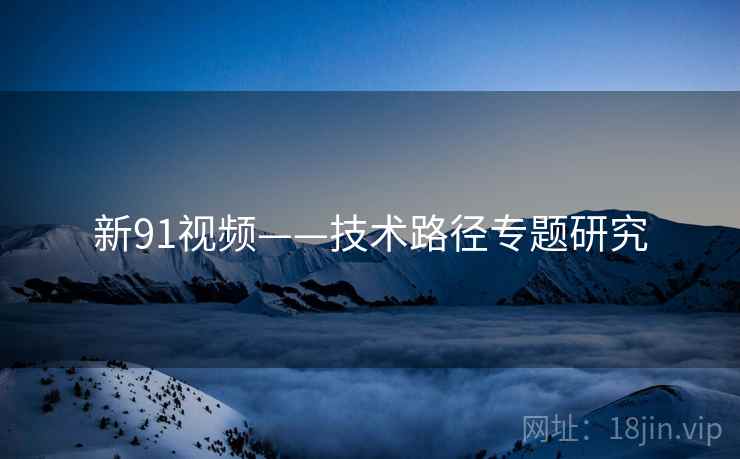 新91视频——技术路径专题研究  第1张