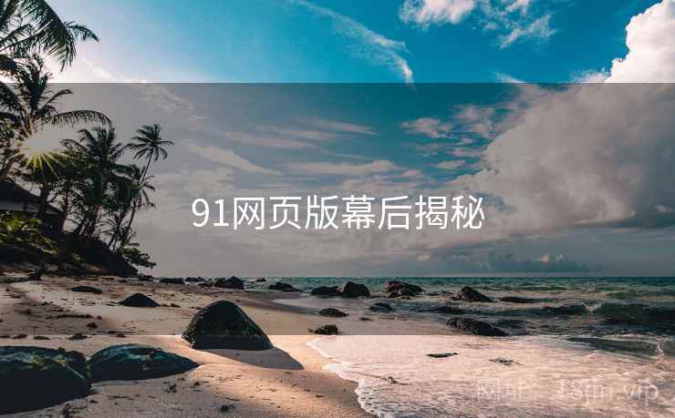 91网页版幕后揭秘  第2张