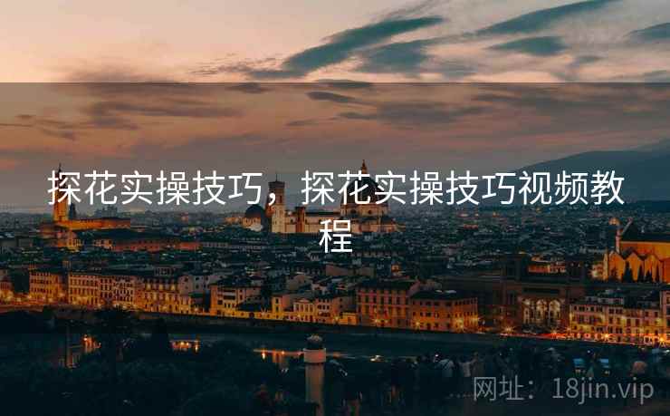 探花实操技巧，探花实操技巧视频教程  第1张
