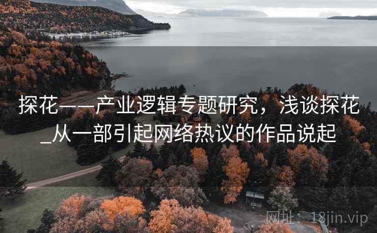 探花——产业逻辑专题研究，浅谈探花_从一部引起网络热议的作品说起  第1张
